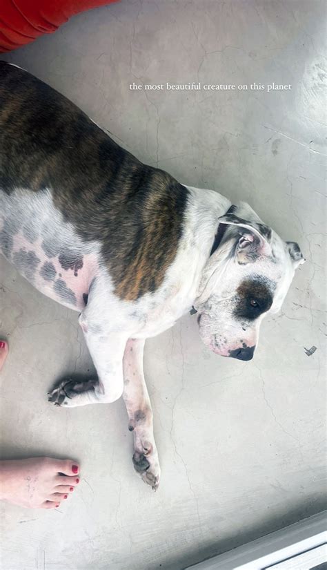 Zoey Deutch Nude Sexy Pics And Topless Sex Scenes Scandal Planet