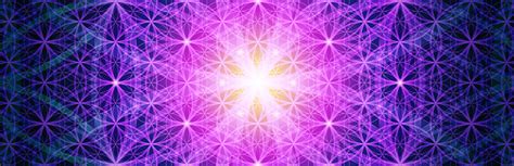 die entfaltung der matrix des lebens raum zeit