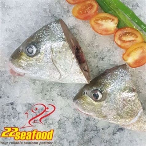 jual kepala ikan gerot  kg white snapper seafood  shopee indonesia