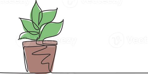 Single Continuous Line Drawing Potted Plants With Five Growing Leaves