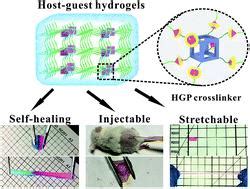 A Super Stretchable Self Healing And Injectable Supramolecular