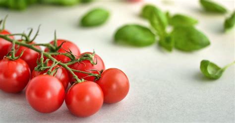 Vous Aimez Les Tomates Voici Comment Les Conserver Plus Longtemps