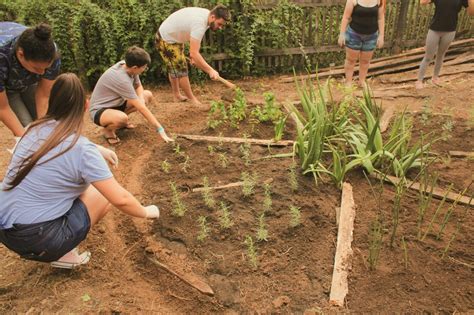 Plantas Medicinais