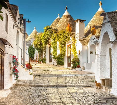 apulia nature  art gadis italia  operator