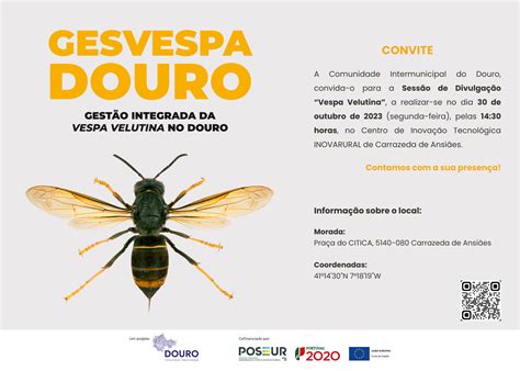 Servi O Municipal De Prote O Civil Lamego Gesvespa Douro Gest O