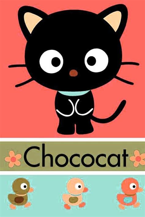 47 best " CHOCOCAT" makes ME SMILE=}=} images on Pinterest | Cats ...