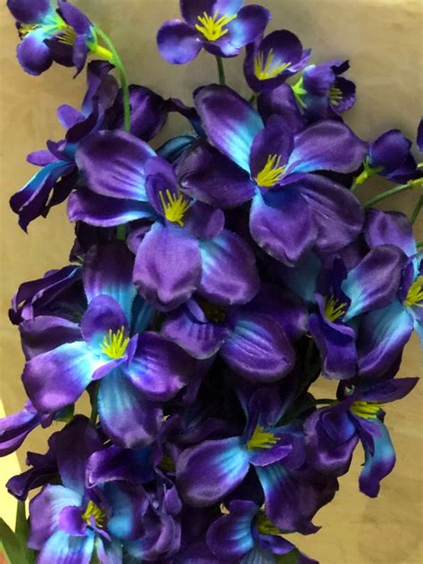 Galaxy Orchid Purpl Blue Turquoise Wedding Flowers Etsy