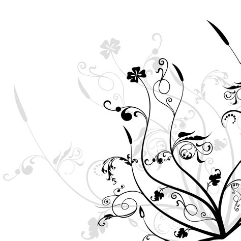 Free Black And White Flower Background Photos, [100+] Black And White