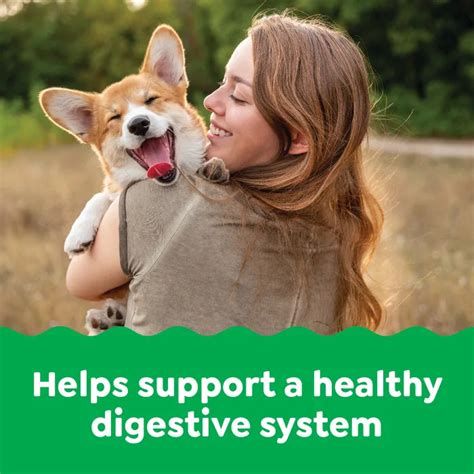 Greenies Digestive Health Supplements, 40 Count