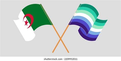 Crossed Waving Flags Algeria Gay Men Stock Vector Royalty Free Shutterstock