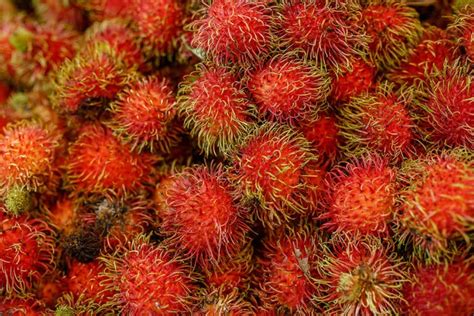 The World’s 35 Strangest Fruits (With Photos!) | Live Eat Learn