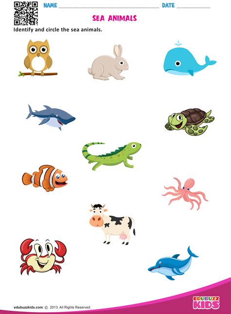 Sea Animals Animal Worksheets Fun Worksheets For Kids Worksheets