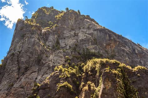 A Mountain With A Rocky Surface And A Few Trees On It Stock Photo