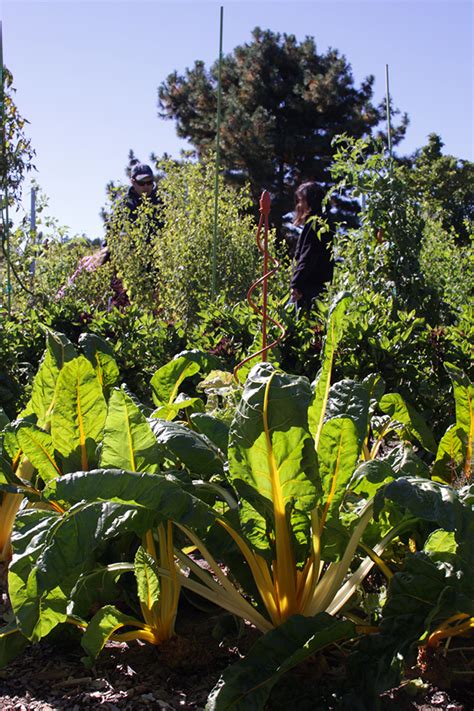 Tower Hill Botanic Garden Tour - Our Natural Heritage