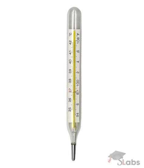 Clinical Thermometer - Scholars Labs