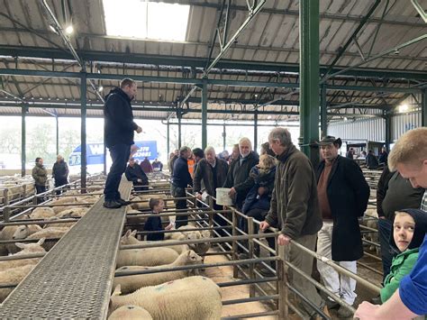 Market Report 12th April - Leek Auctions