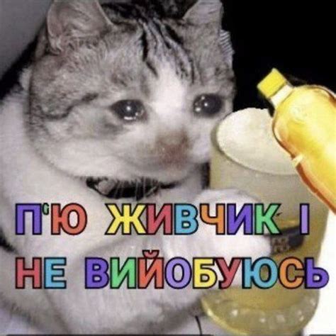Pin By Лера Кочугура On Українські меми Funny Mems Funny Memes Fb Memes