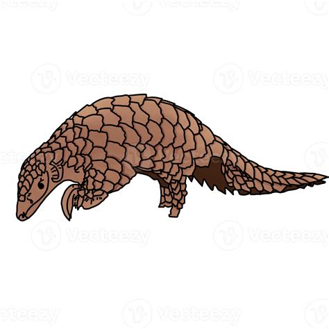 Brown wild pangolin 25272039 PNG