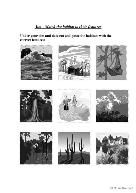 Matching Habitats: English ESL worksheets pdf & doc