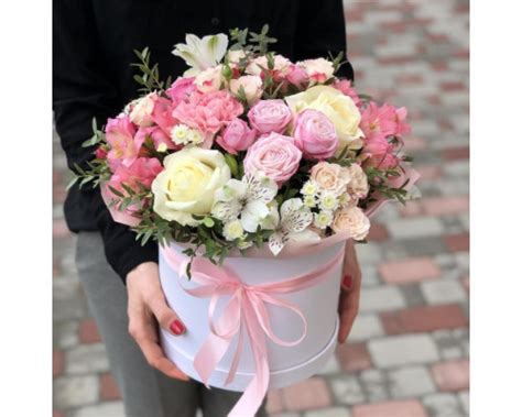 Сияющая улыбка — купить за 1515 грн в Украине | srez.com.ua Киев