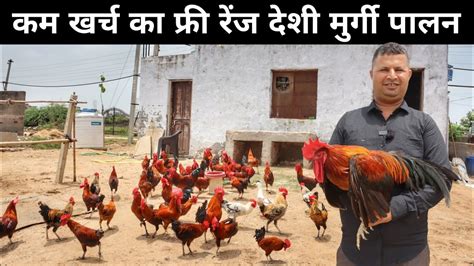 Free Range Desi Poultry Farming Murgi Palan