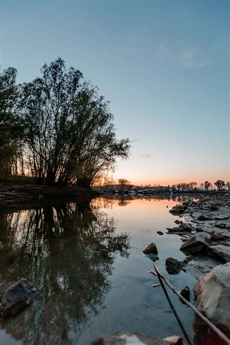 Imagen gratis orilla del río canal Río pantano bosque humedal