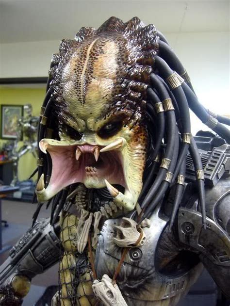 Pin By Marcos Pachola On Predadores In 2024 Predator Alien Art