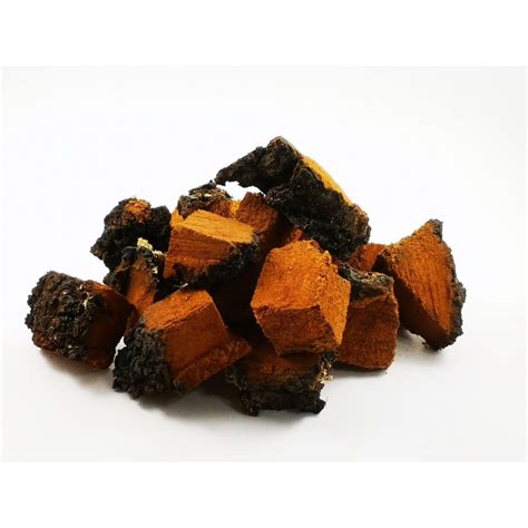 Купить гриб Чага берёзовая. Доставка почтой по всей России . Без ...