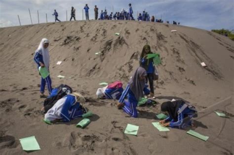 Penataan Gumuk Pasir Parangtritis Diawali Dari Pepohonan Antara News