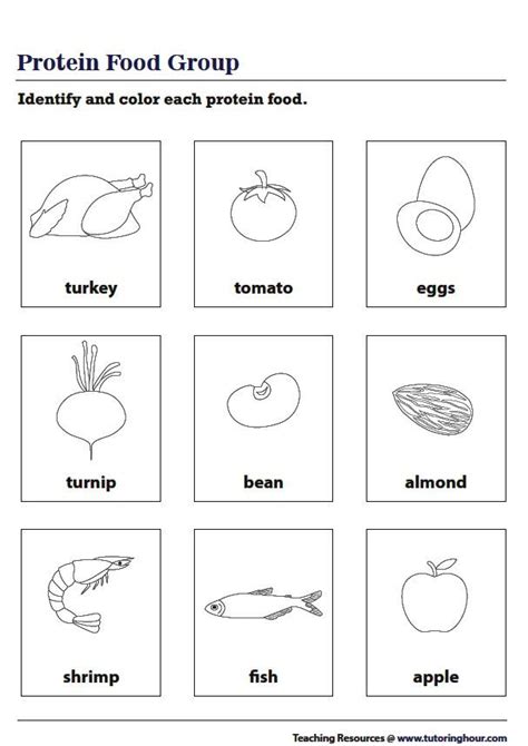 Protein Food Group Worksheet