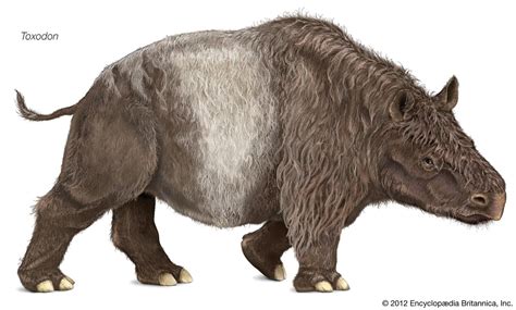 North American 🦣🦤🏕 Ice Age Rpleistocene