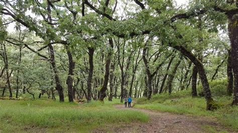 Retiro Yoga Y Senderismo En La Sierra De Gata Todonatura