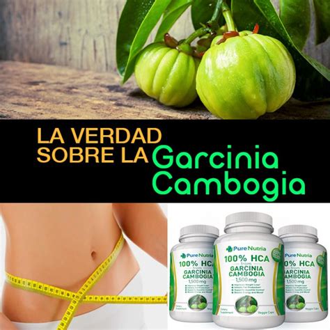 La Verdad Sobre El Extracto De Garcinia Cambogia Pura Opiniones Y