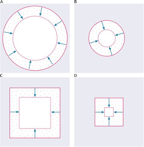 effect  wound geometry  decreasing wound area cells moving