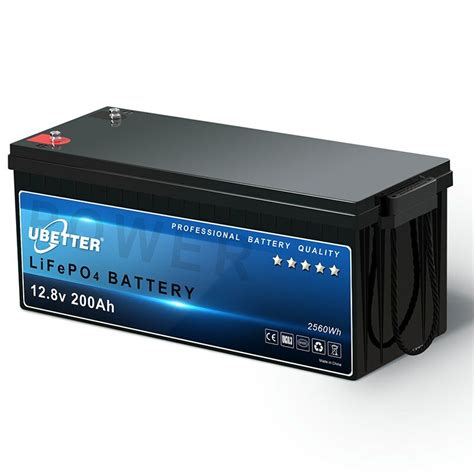 Eu Direct V Ah Lifepo Battery Lithium Battery With A Bms