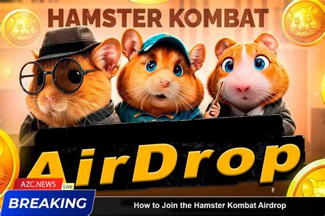 How To Get Started With Hamster Kombat Airdrop By Crypto Banter