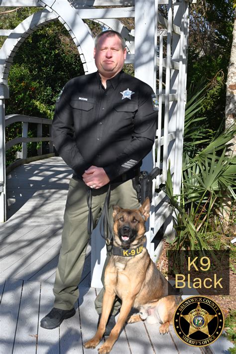 Brunswick County Sheriff’s Office K9s Black, Jax, Pepper, and Ronin to