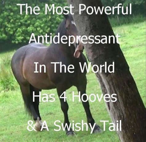 Fuck Me In The Rake With A Pussy Mom