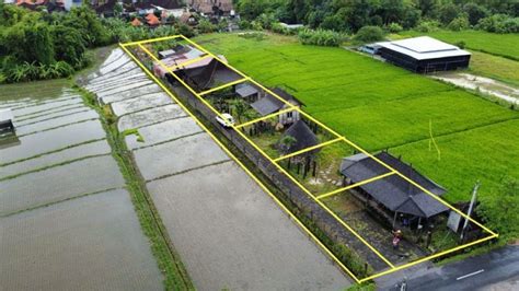 Tanah View Sawah Di Kerobokan Bali Pantai Kuta Seminyak Umals Canggu