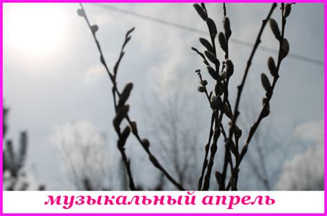 Музыкальный календарь