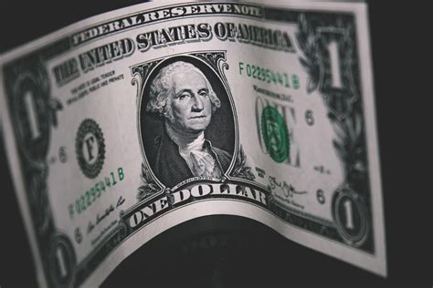 NZD/USD Stabilizes Near 0.5600 Amid US Dollar Weakness, Strong China Data