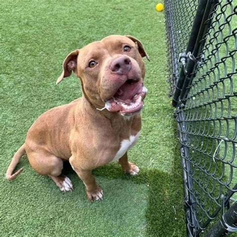 tami kukla  linkedin     forest  extended