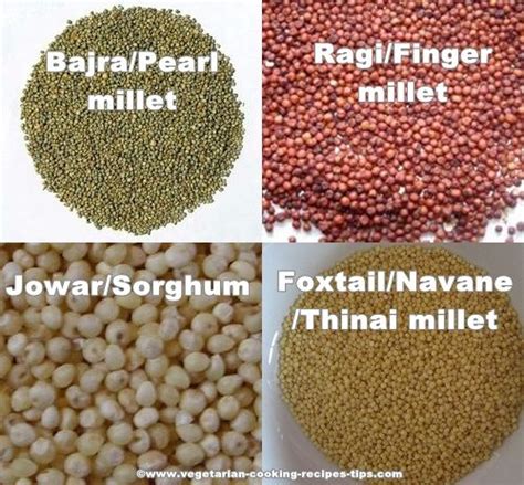 Types Of Millet Millet Nutrition Recipes Fingermillet Pearl Millet