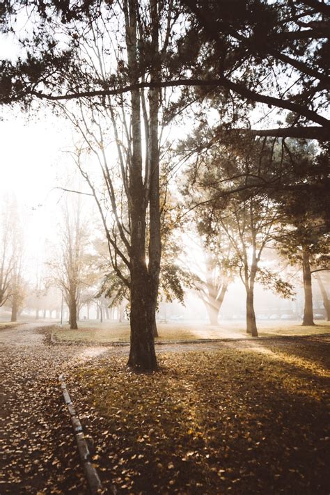 Nude 4k Phone HD Wallpaper