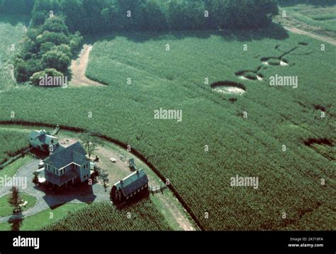 CROP CIRCLE NEAR FARM BUILDING, SIGNS, 2002 Stock Photo - Alamy