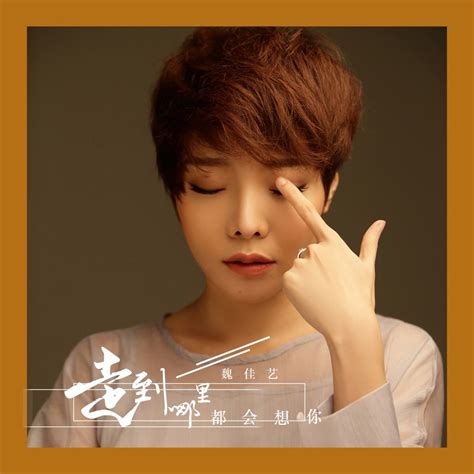 走到哪里都会想你 Wei Jia Yi Song Lyrics Music Videos Concerts