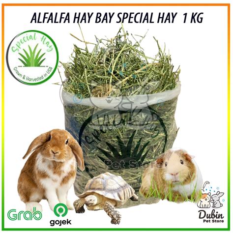 Jual Rumput Alfalfa Hay 1 Kg SH Special Hay Rumput Hay Alfalfa 1kg