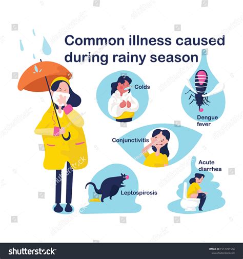 9 Common Rainy Season Diseases Infographic 图片、库存照片和矢量图 Shutterstock