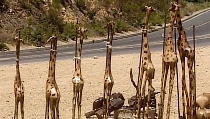 Sex L Gen In Der Karibik Xhamster