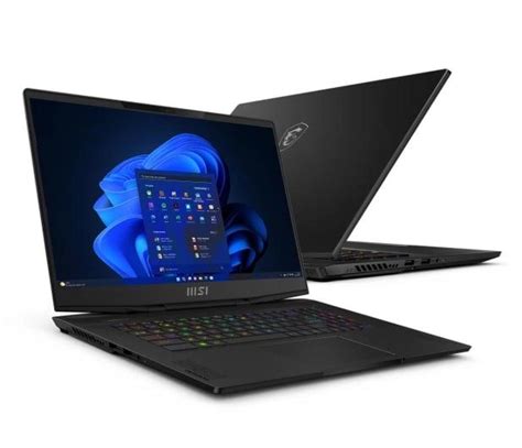 Ноутбук MSI Stealth 17 i9-13900H/64 ГБ/2 ТБ/Win11 RTX4090 144 Гц – фото ...